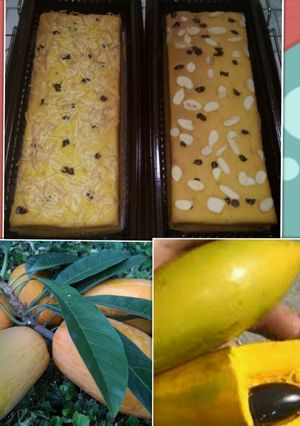 Foto resep Bolu panggang alkesa/sawo mexico/sawo belanda