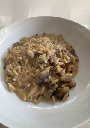 A picture of Mushrooms and orzo.