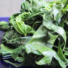 A picture of Daun Singkong Rebus.