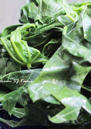 Foto resep Daun Singkong Rebus