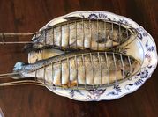 A picture of rainbow trout