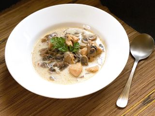 Mushroom Chicken Stroganoff Soup