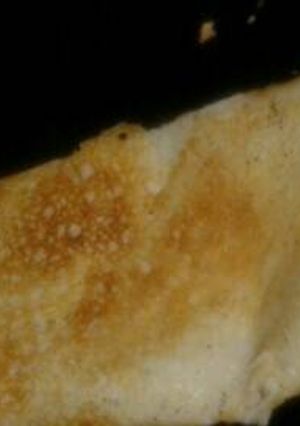 रेस्टुरेंट स्टाइल डोसा (Resturant style dosa recipe in hindi) रेसिपी मुख्य फोटो