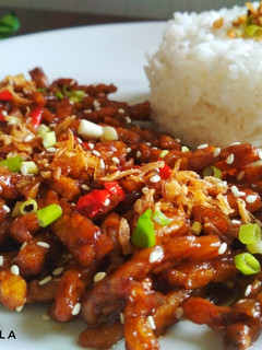 Foto resep Tempe Teriyaki
