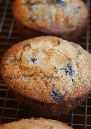 A picture of Blueberry Muffins.