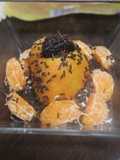 Boniato con mandarinas y yogur #Calendario2026