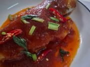 Gambar ikan kerapu