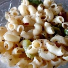 White sauce Pasta A picture of White sauce Pasta.
