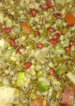 A picture of Sprouts chat.