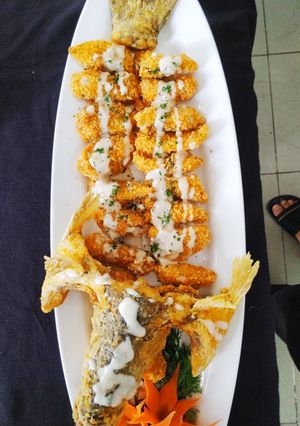 Hình của món Cá Tai Tượng Sốt dừa.