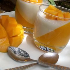Mango Panna-cotta 2 A picture of Mango Panna-cotta 2.