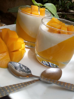 A picture of Mango Panna-cotta 2.