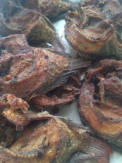 Foto resep #622. Goreng Ikan Mujair