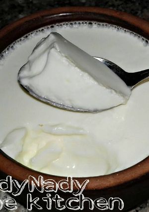 صورة لوصفة الزبادي البيتي