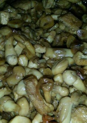 Foto resep Tumis Jamur blotong