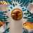 Muffin light Americani
