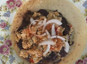 Una foto de Pan de cazón estilo yucatán