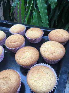 A picture of Coconut cupcakes.