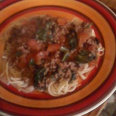 A picture of Spaghetti Bolognaise with a difference!.