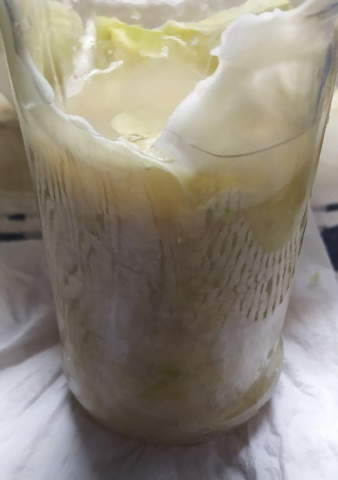 Una foto de Chucrut alemán / Repollo Fermentado