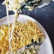 Lasagna with Spinach and Mushroom