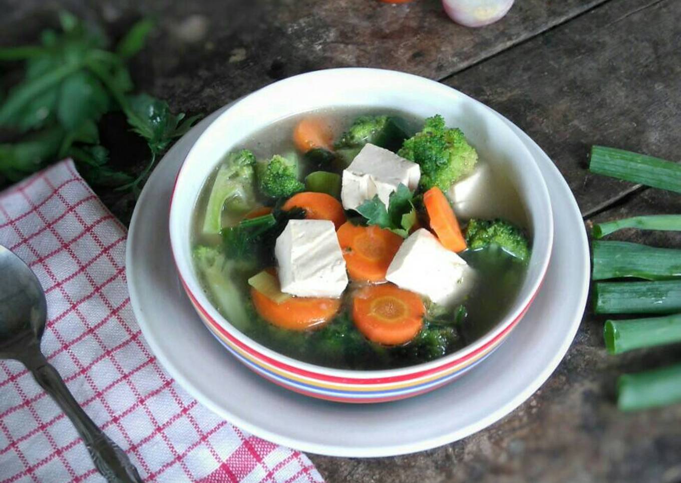 Vegetarian Soup