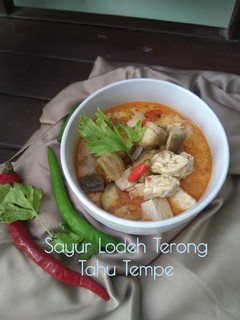 Foto resep Sayur Lodeh Terong Tahu Tempe