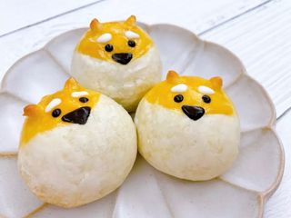 柴柴蛋黃酥🐶