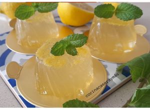 Foto principal de Chupitos de gin tonic
