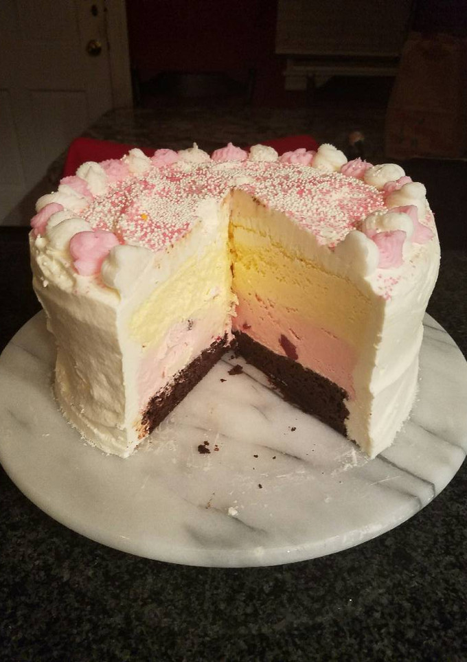 A picture of Neopolitan Ice Cream Cake.