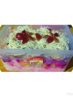 Foto resep Salad Buah