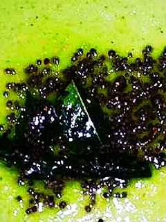 தேங்காய் மல்லி சட்னி செய்முறை முக்கிய புகைப்படம்