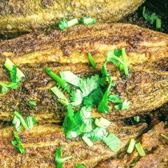A picture of Bharwa karela (stuffed bitterguord).