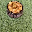 Onion pickle