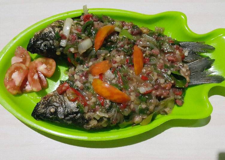 Resep Ikan Mas Saus Tiram yang sempurna