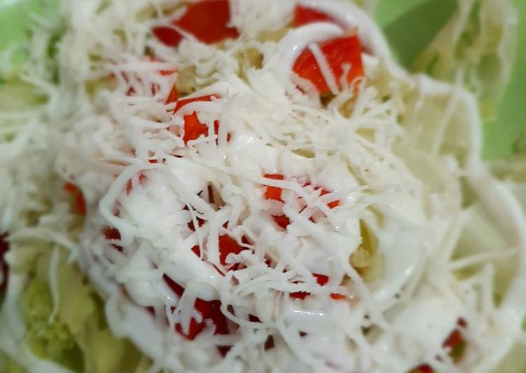 Cara Termudah Membuat Salad Sayur Simple Menggugah Selera