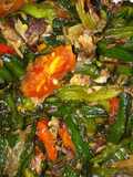 Tumis genjer ikan pindang