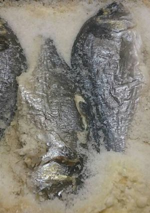 Sókéregben sült hal (orada) recept fotója