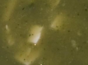 Una foto de Sopa de calabacitas con apio