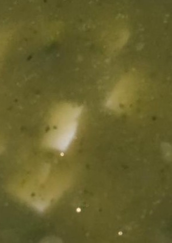 Una foto de Sopa de calabacitas con apio
