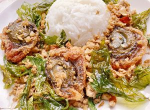 รูปของ ไข่เยี่ยวม้าฟูกะเพรากรอบราดข้าว 🌿Stir fried century egg with crispy basil 🌿
