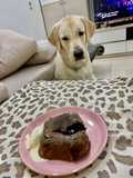 Chocolate lava