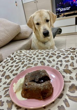 Hình của món Chocolate lava.