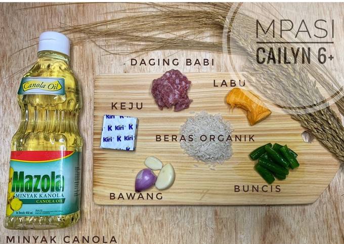 Resep Bubur Daging Babi 4 Mpasi 6 Non Halal Oleh Cindyviia Cookpad