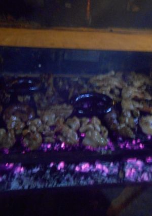 Una foto de Mi plato principal del 24 (asado a la parrilla y ensaladas) 