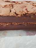 Chocobiz húmedo sin gluten