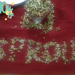 A picture of Sprouts.