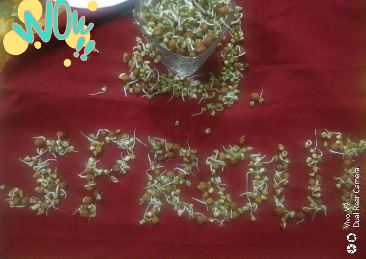 Simple Way to Prepare Ultimate Sprouts Cooking Basics for Newbies