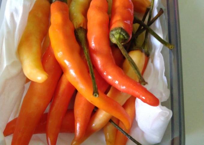 Resep Tips menyimpan cabe rawit biar tahan sebulan di kulkas Anti Gagal