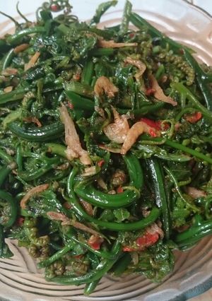 Foto resep Tumis pakis udang rebon😘